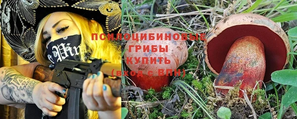 mix Арсеньев